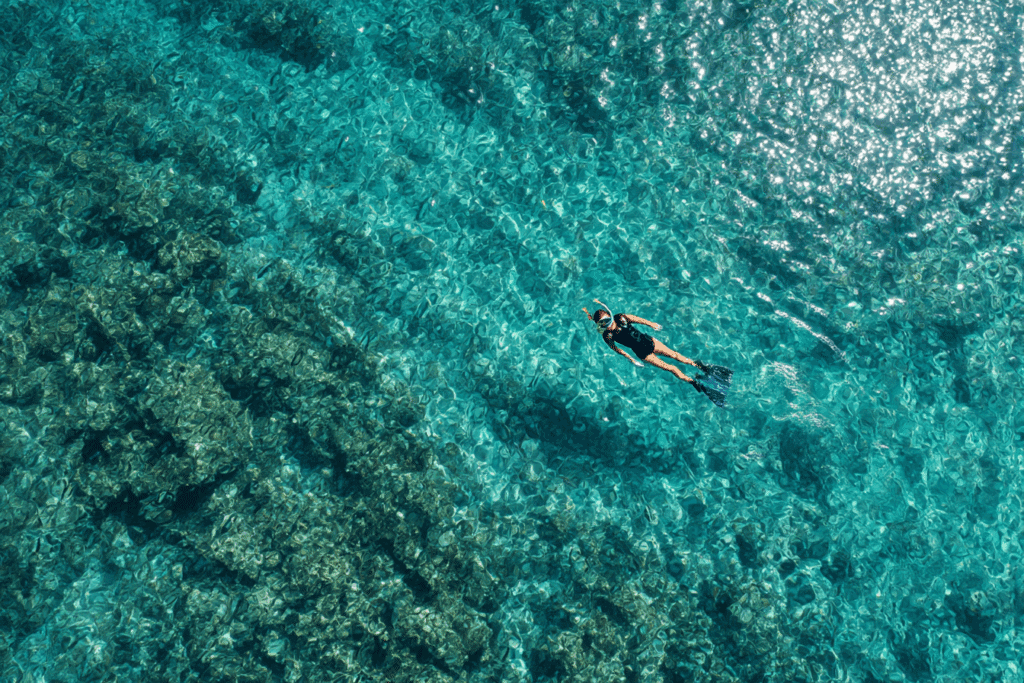 Isla del Caño : plongée, snorkeling et excursions