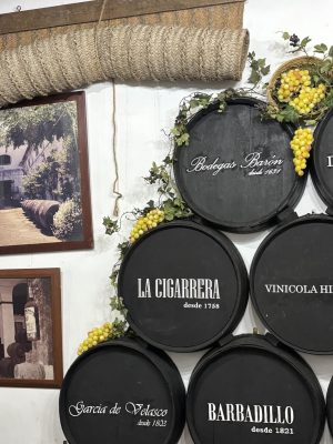 Feria Sanlucar de Barrameda IRIS EVENT