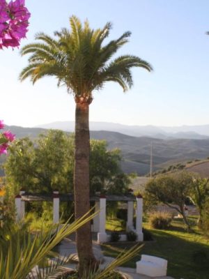 Privatiser une hacienda en Andalousie