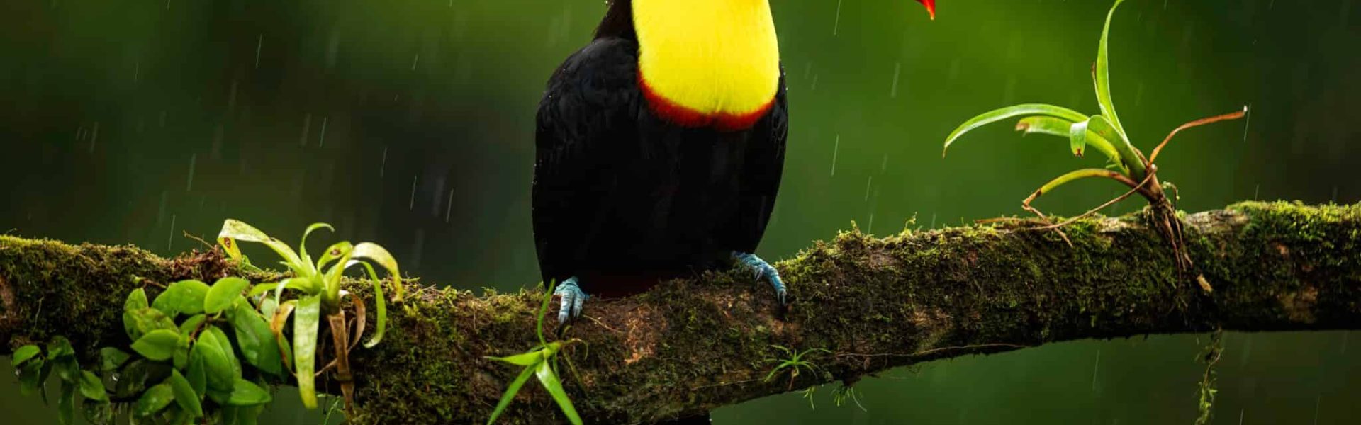 costa-rica-panorama