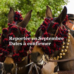 La Feria de Séville 2020 avec l'agence IRIS EVENT du 24 avril au 4 Mai.