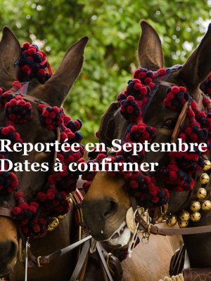 La Feria de Séville 2020 avec l'agence IRIS EVENT du 24 avril au 4 Mai.