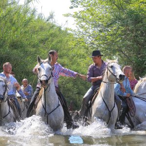 visite-camargue