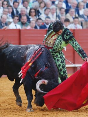 voyage sur mesure Feria